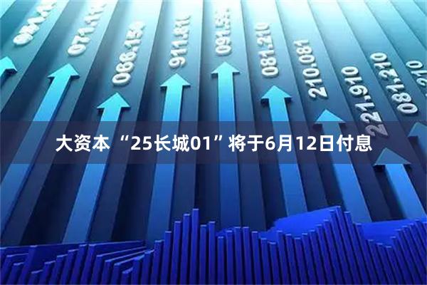 大资本 “25长城01”将于6月12日付息